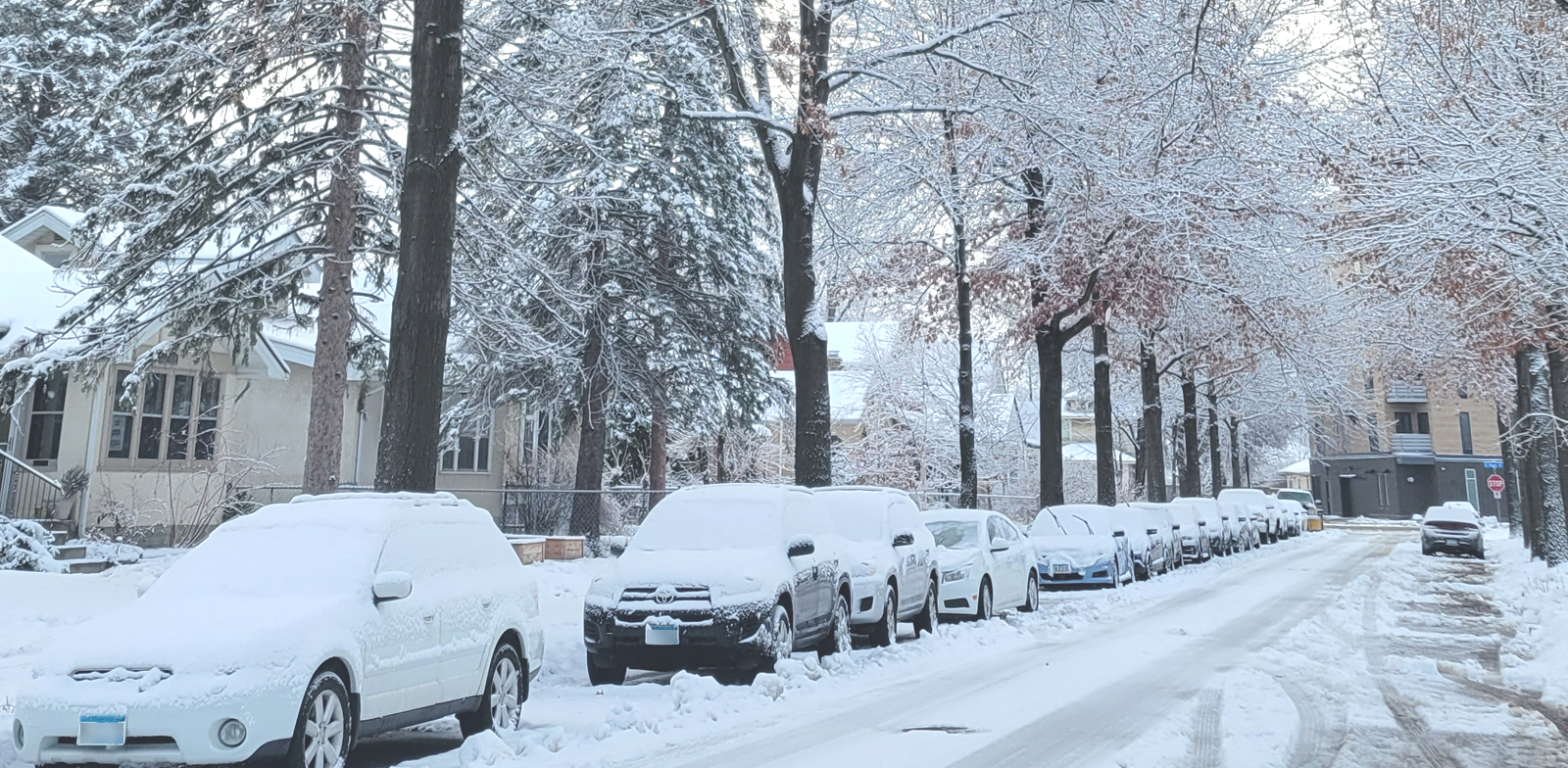 What to do when it snows What to do when it snows