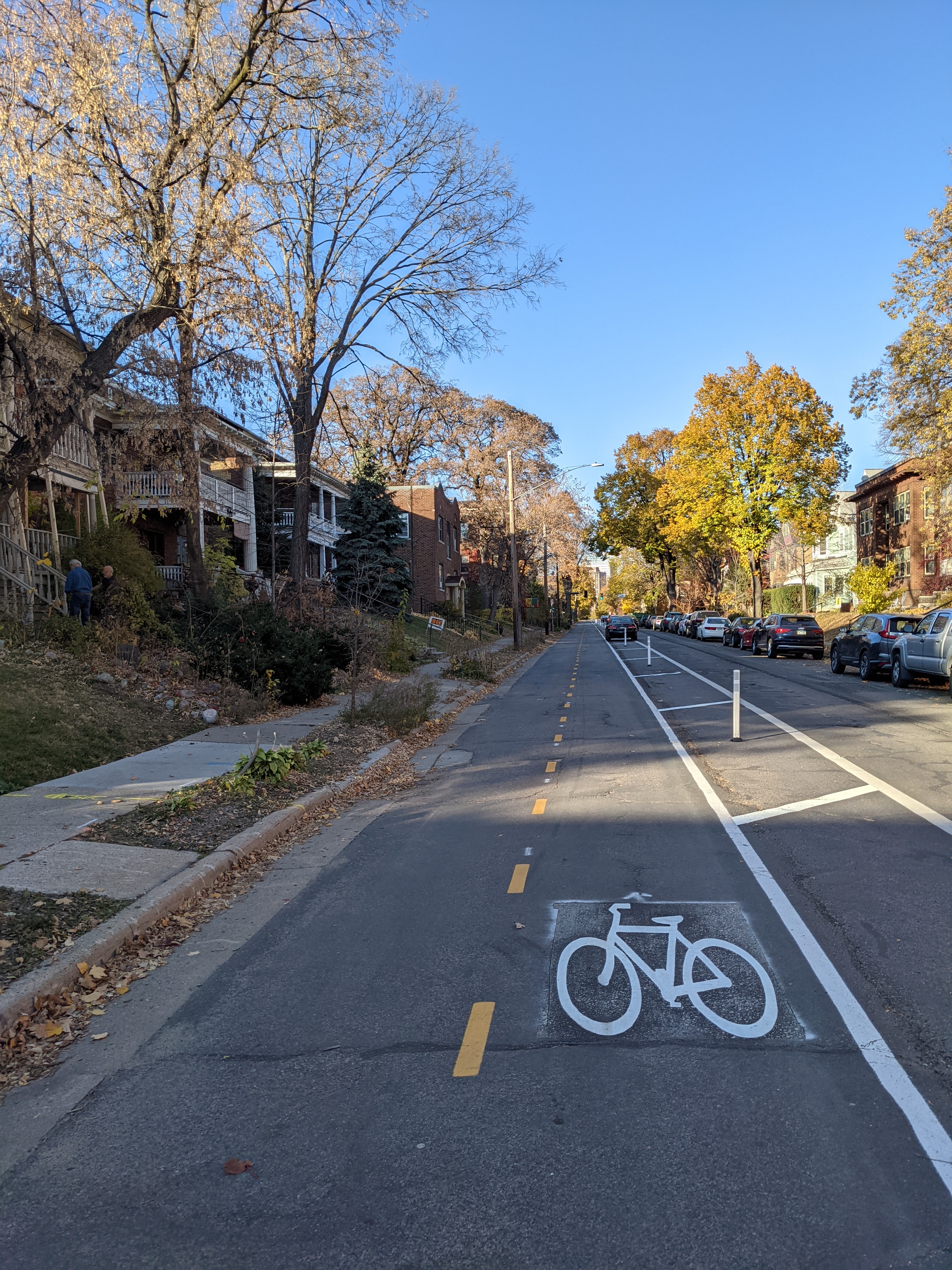 shady bike lane