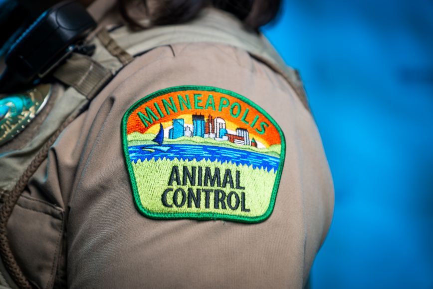 Minneapolis Animal Control Officer arm patch.