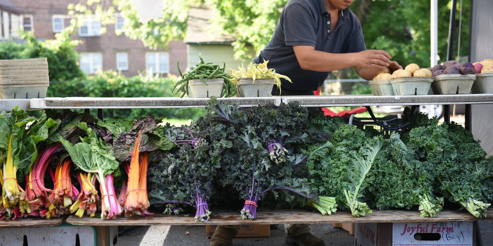 Fresh produce at farmers market