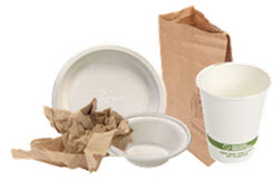 plain paper plates, paper towel, compostable paper cup, paper bag
