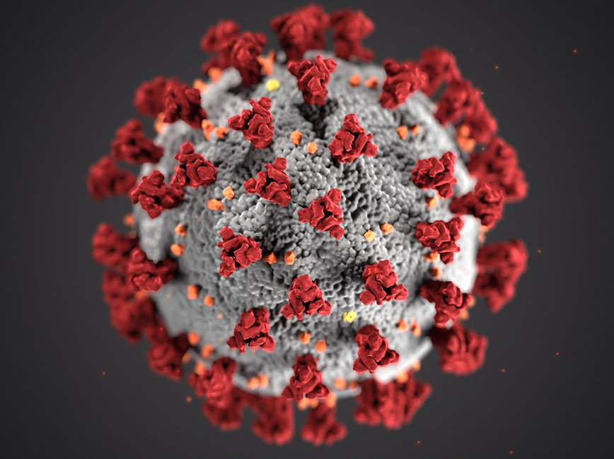 Red and white sphere image above that shows how coronavirus looks under a microscope. 