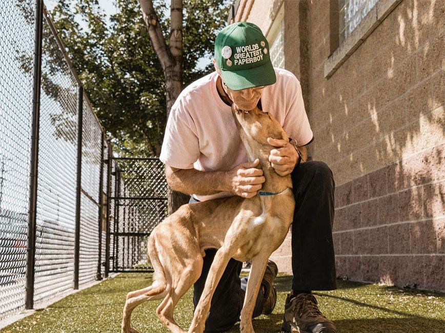 Man playing with dog 