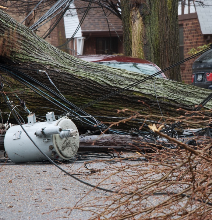 Downed tree and power lines near cars and buildings.