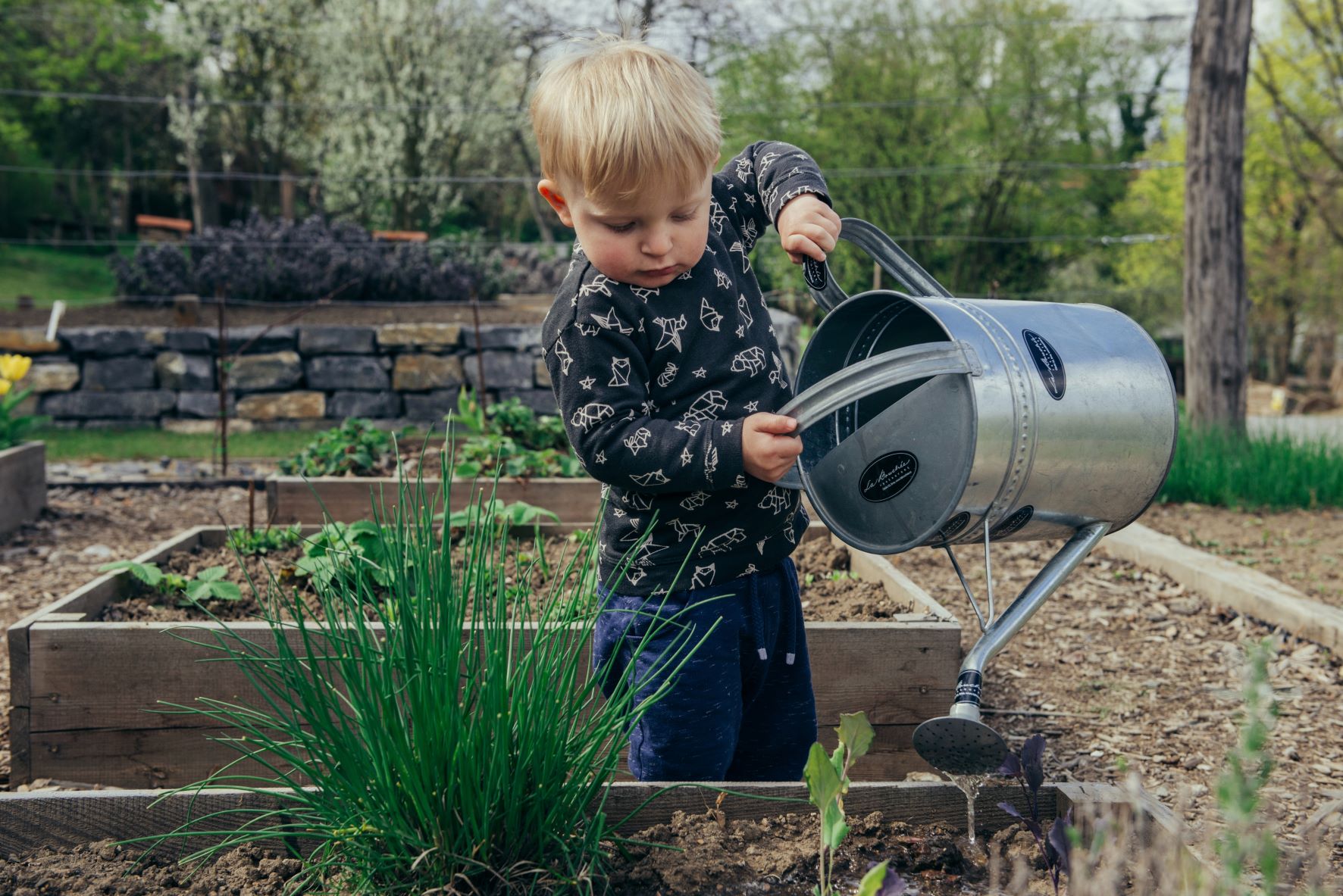 child in a garden