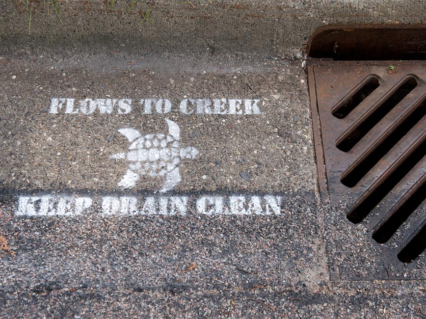 sewer grate that says "flows to creep keep drain clean" with turtle