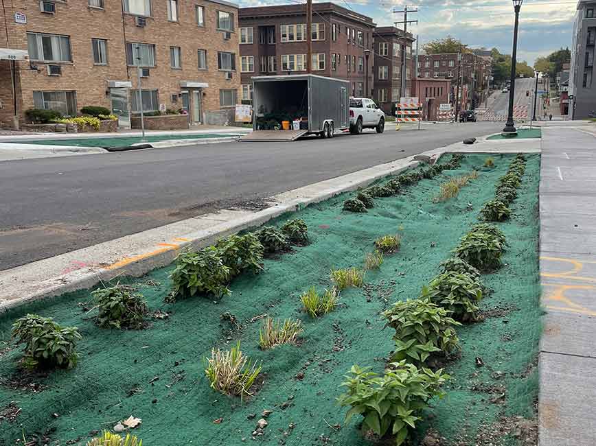 Franklin Ave W street view with boulevard garden Franklin Ave W street view with boulevard garden