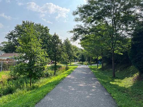 A trail through a greenway area. A trail through a greenway area.