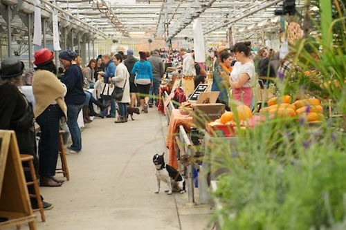 People at a farmers market