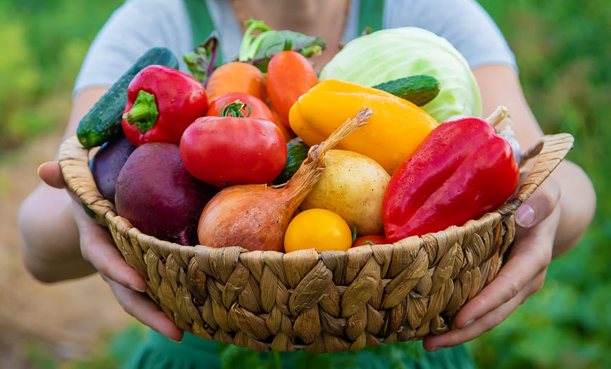 Person holding basket of vegetables