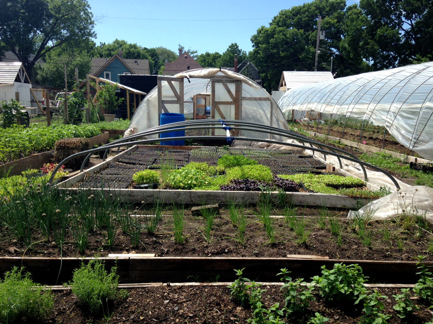 Hoop houses and raised garden beds