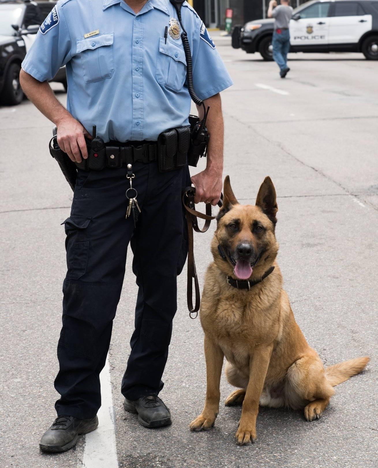 Canine and officer. Canine and officer.