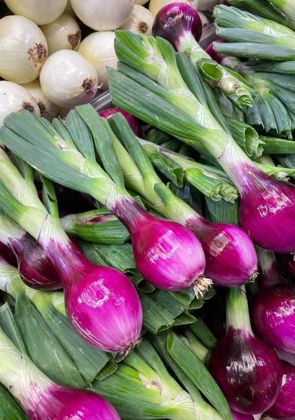 Onions at farmers market, photo courtesy Leslie Foreman, Minneapolis Health Department Onions at farmers market, photo courtesy Leslie Foreman, Minneapolis Health Department