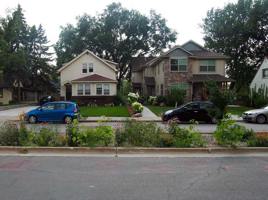 flowers and plants growing in median of street