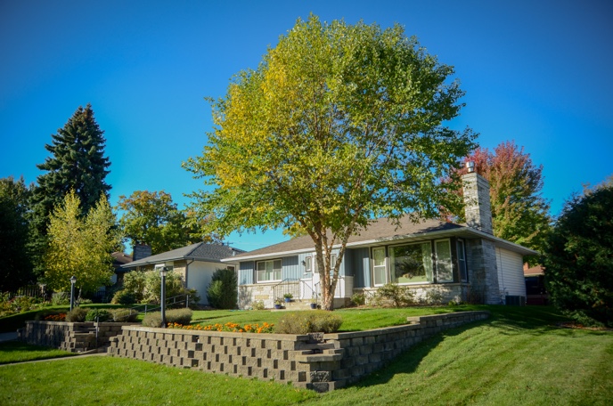 Residential yard and home.