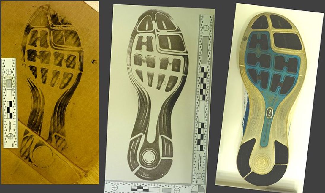 Forensic images of shoeprints.
