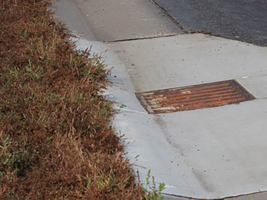 Surmountable curb for wildlife