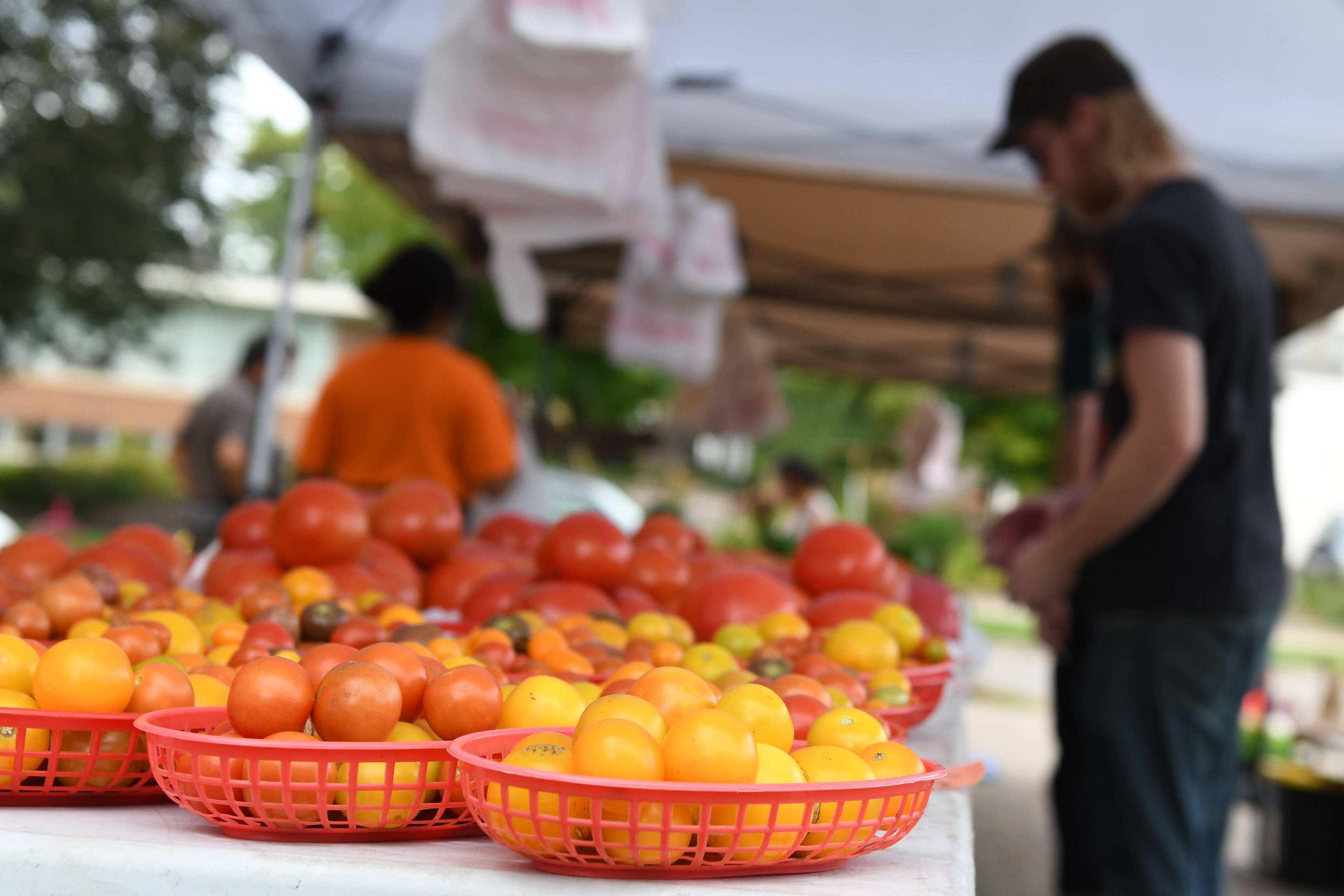 Farmers market tomatoes