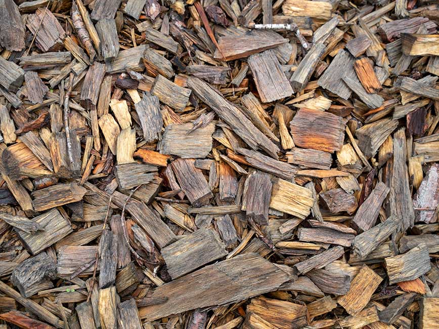 Wood chips Wood chips
