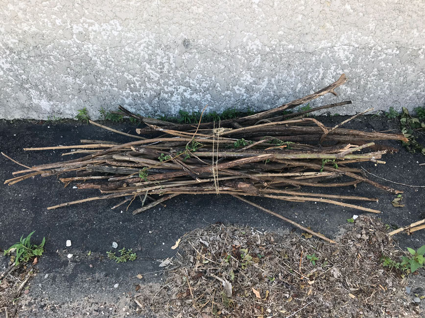 small bundle of sticks wrapped with twine
