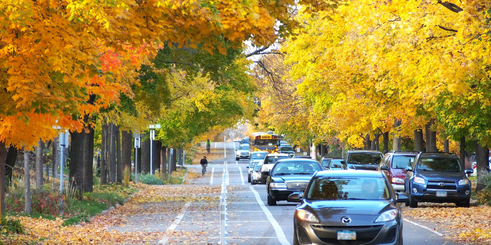 Park and drive safely