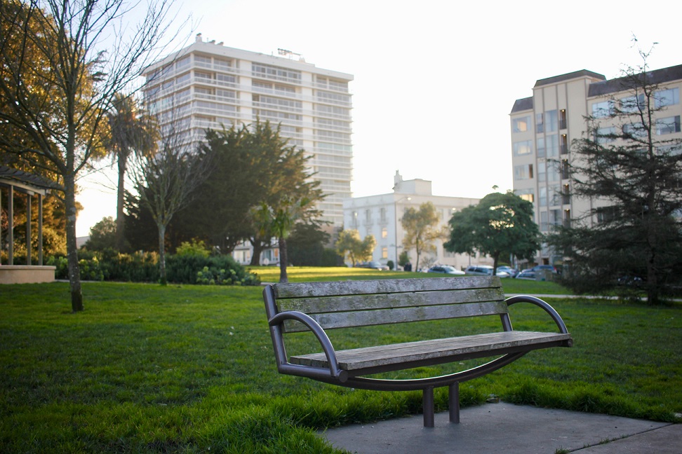 bench with grass, trees and building in the background