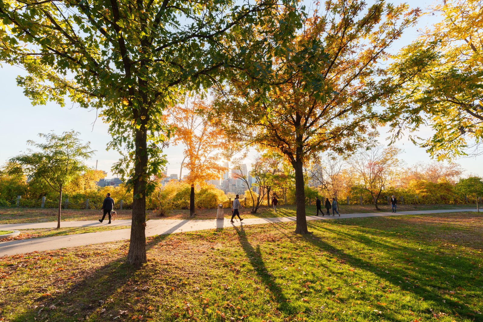 Main Street by Lane Pelovsky, Courtesy of Meet Minneapolis