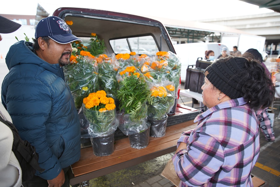 A local business grower selling marigolds at the farmers' market