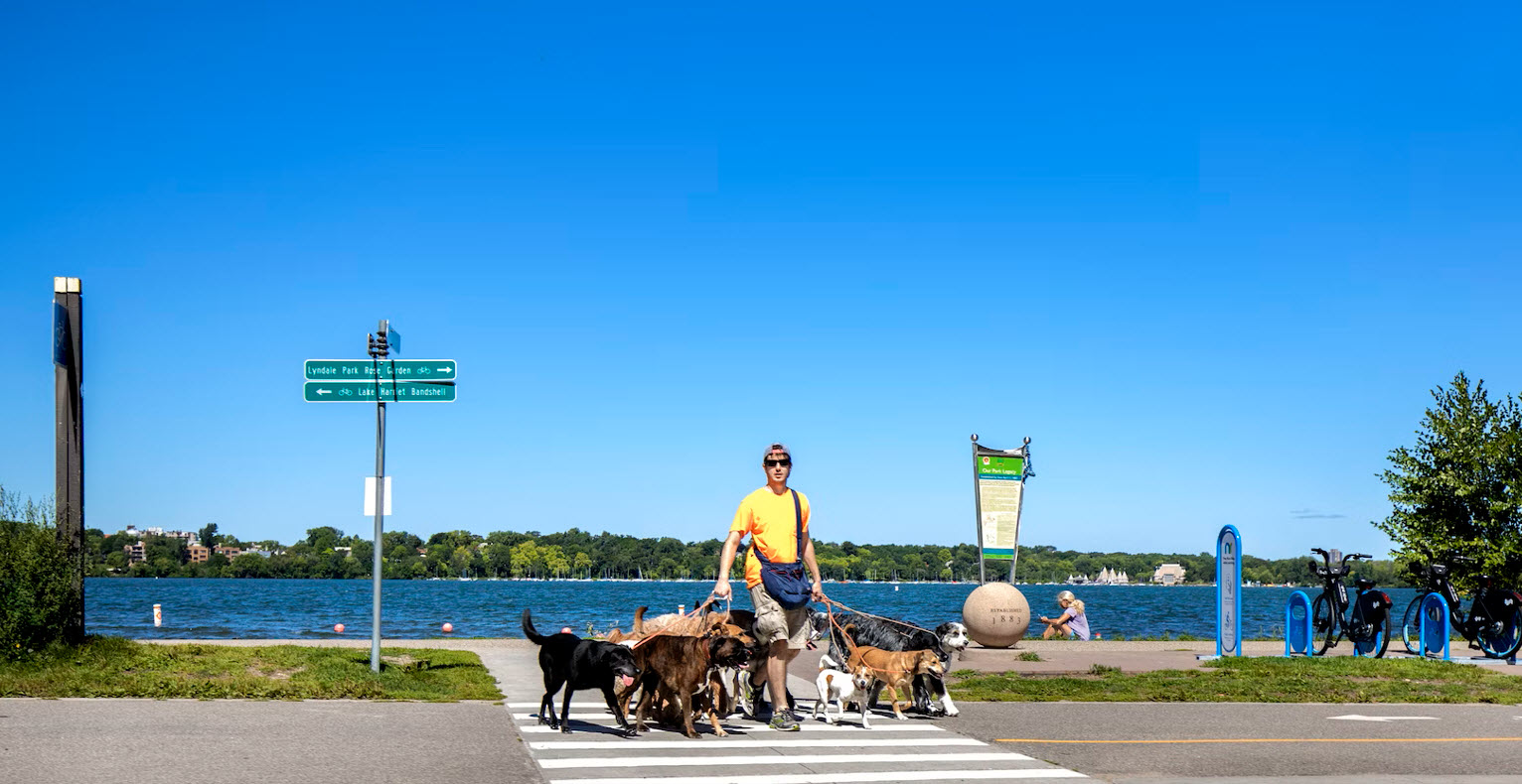 Person walking dogs at Lake Harriet