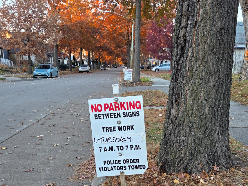 No parking between signs tree work sign on Minneapolis street