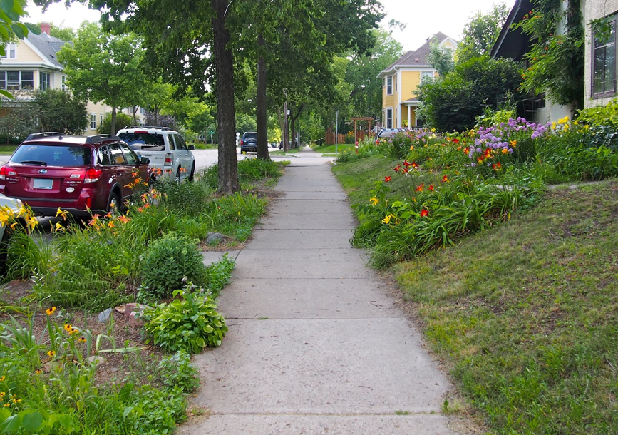 Sidewalk with flowers surrounding it