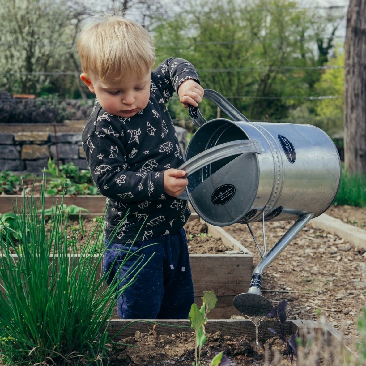 Child in garden watering plant
