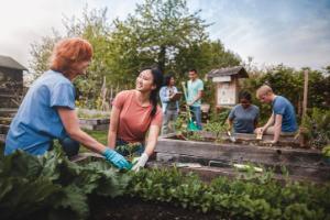 People working in community garden