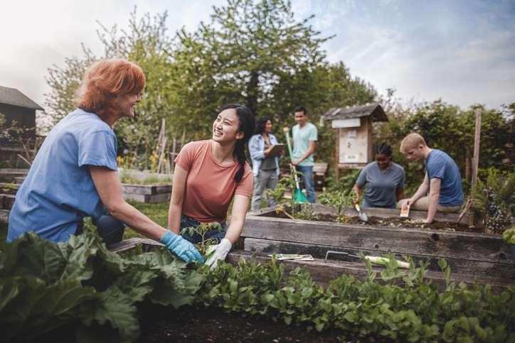 People working in community garden