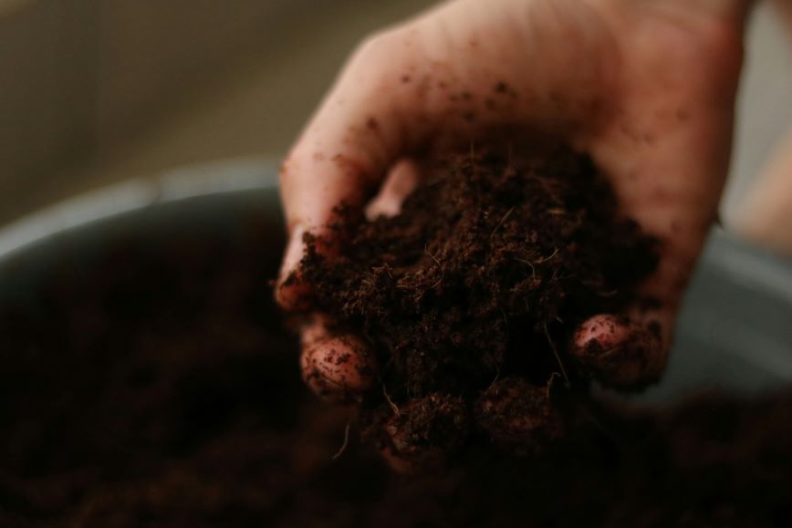Hand holding soil Hand holding soil