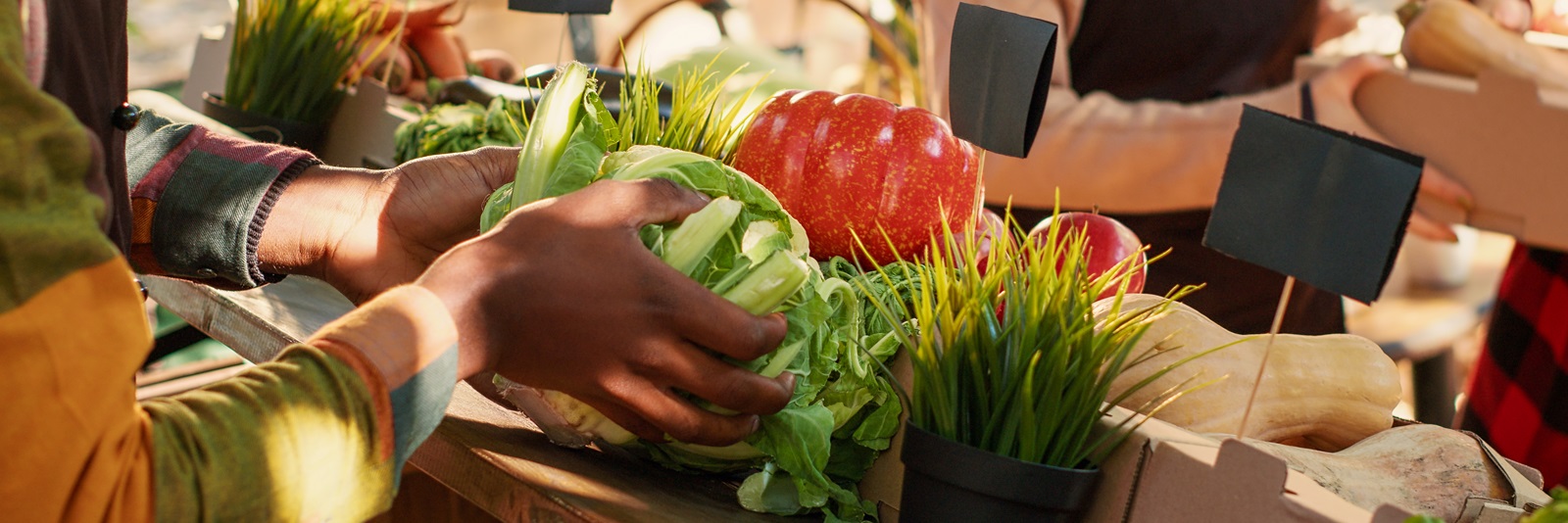 Making good, affordable food available for all Making good, affordable food available for all