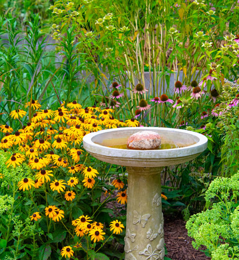 Bird bath with flowers Bird bath with flowers