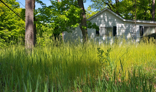 Keep grass on your property cut