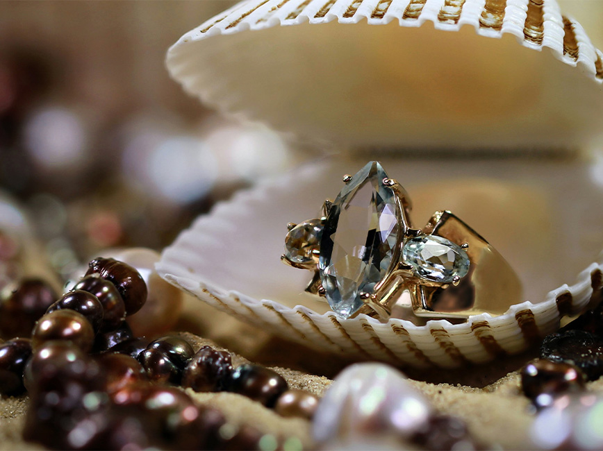 jewelry in and around a clam shell