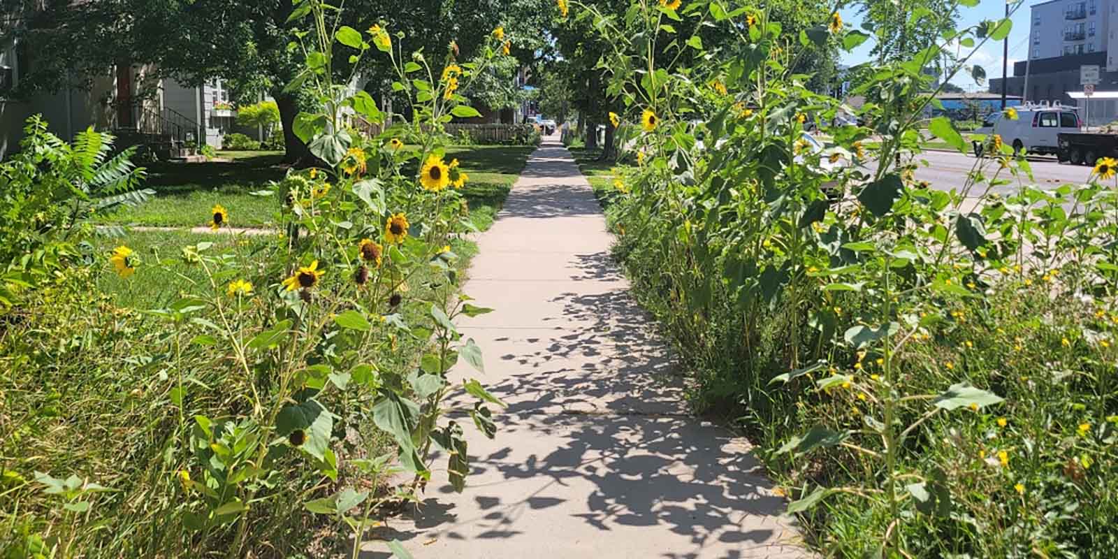 Boulevard garden design guide Boulevard garden design guide