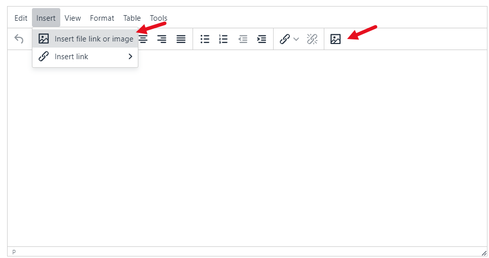 Show editor screen shot to select insert image or file.